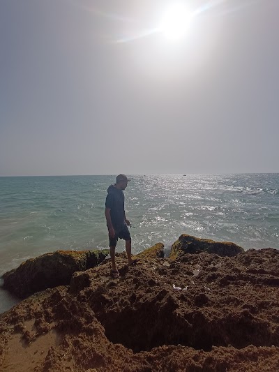 وكالة شاكر العقارية
