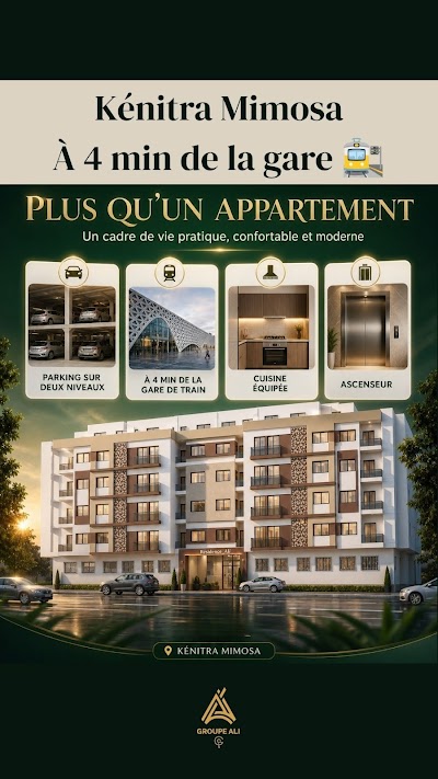 groupe ali immobilier